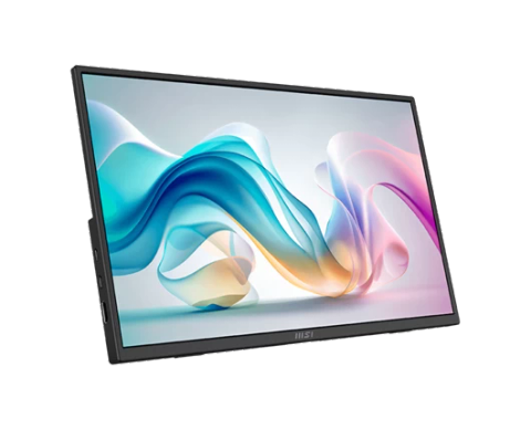 Màn Hình Di Động MSI Pro MP165 E6 15.6” FHD IPS