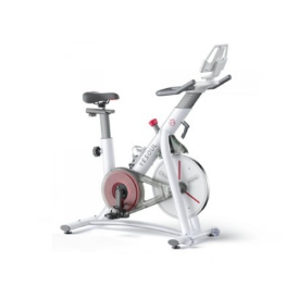 Xe Đạp Tập Thể Dục Trong Nhà Xiaomi Yesoul S3