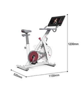 Xe Đạp Tập Thể Dục Trong Nhà Yesoul S3 Plus