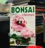 Bonsai cho mọi nhà