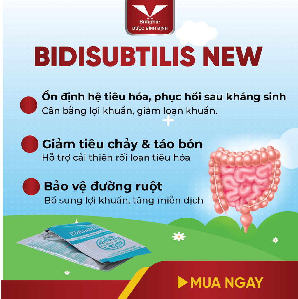 BIDISUBTILIS NEW - Men vi sinh - Hộp 20 gói