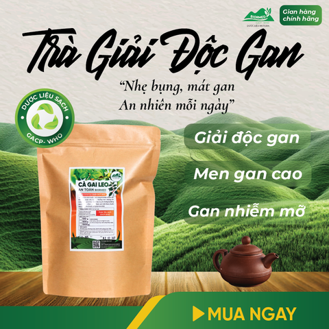 Cà Gai Leo Ủ Men Sấy Khô An Toàn Biormed Gói 100g