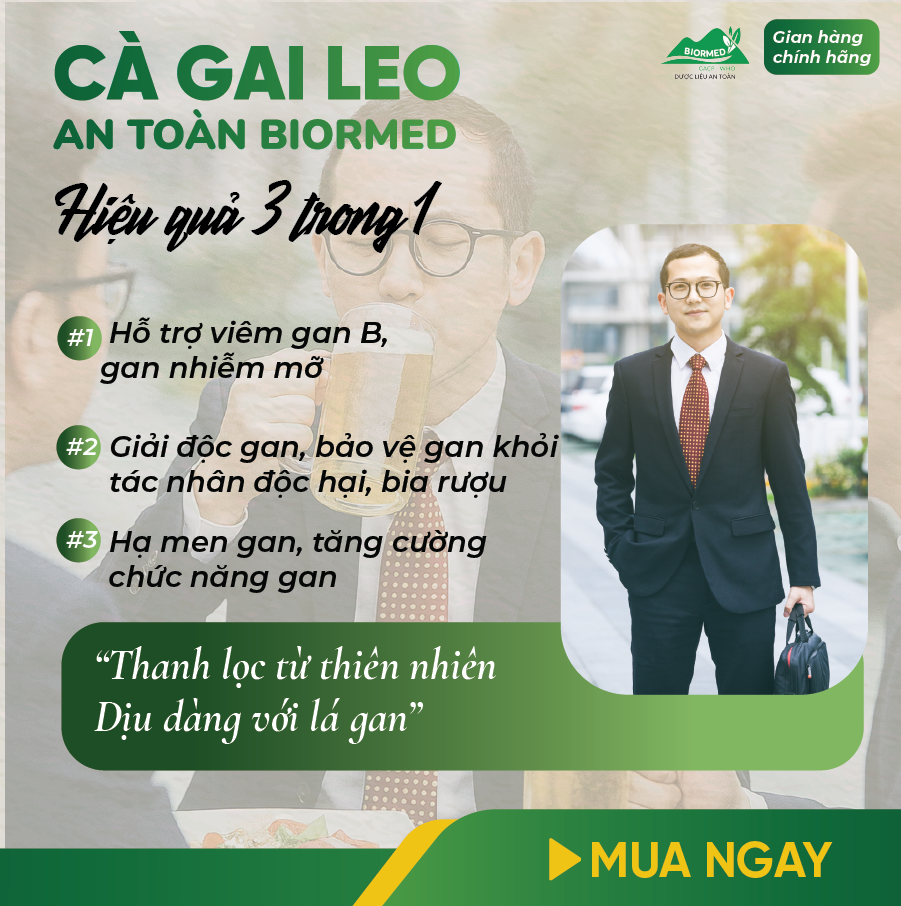 Cà Gai Leo Ủ Men Sấy Khô An Toàn Biormed Gói 100g