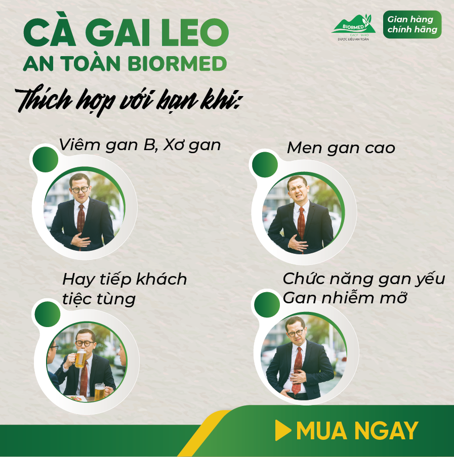 Cà Gai Leo Ủ Men Sấy Khô An Toàn Biormed Gói 100g