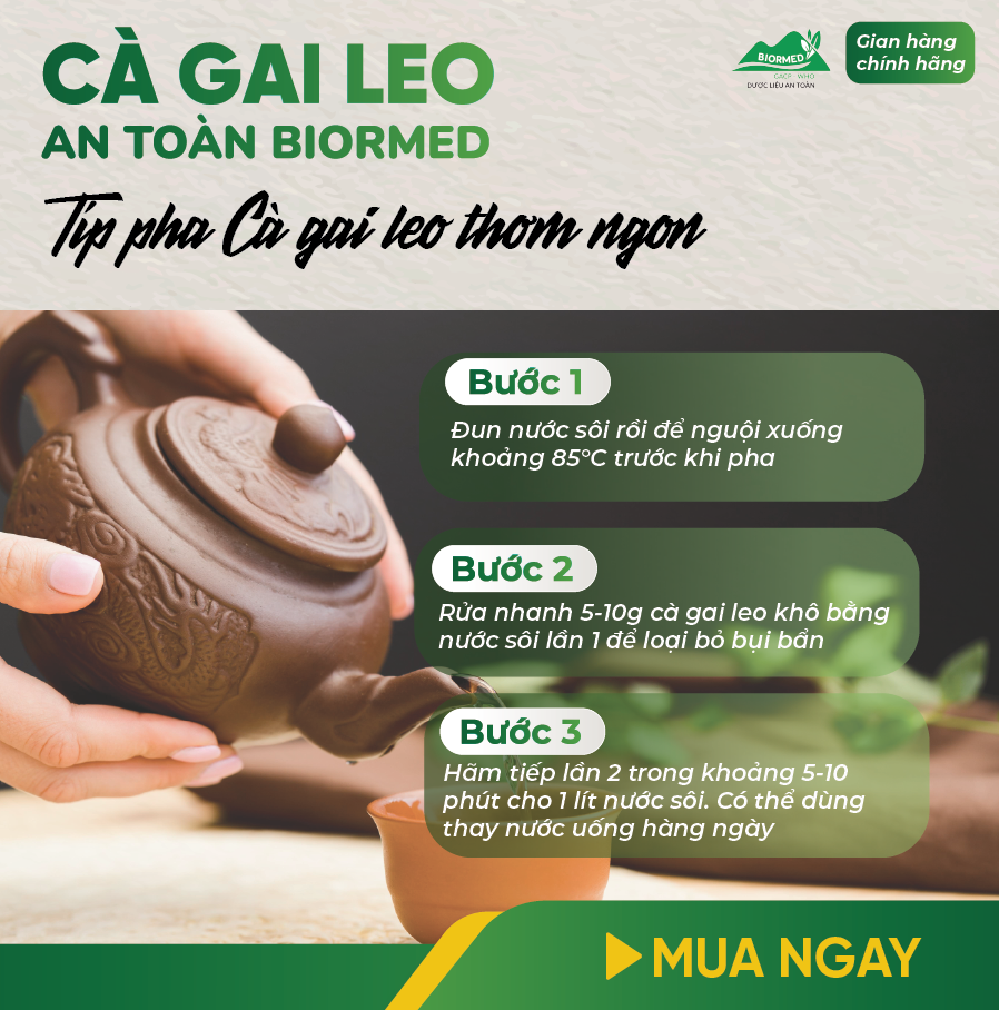 Cà Gai Leo Ủ Men Sấy Khô An Toàn Biormed Gói 100g