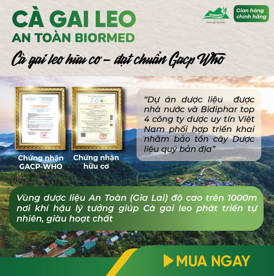 Cà Gai Leo Ủ Men Sấy Khô An Toàn Biormed Gói 100g