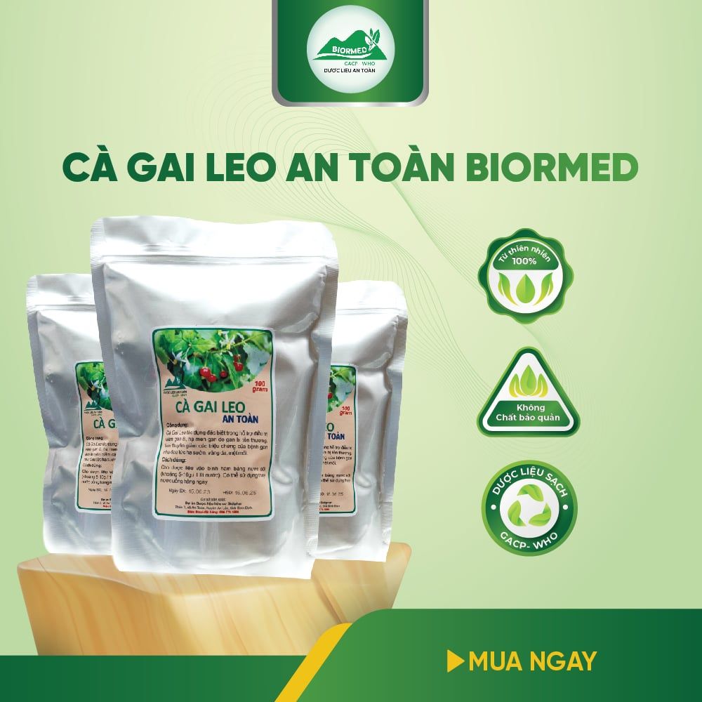 Cà Gai Leo Ủ Men Sấy Khô An Toàn Biormed Gói 100g