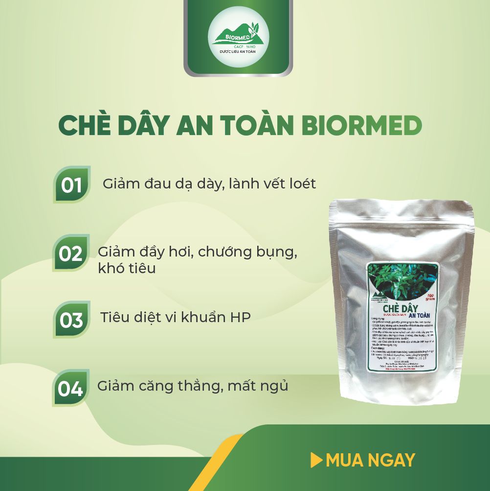 Chè Dây Ủ Men Sấy Khô An Toàn Biormed 100g