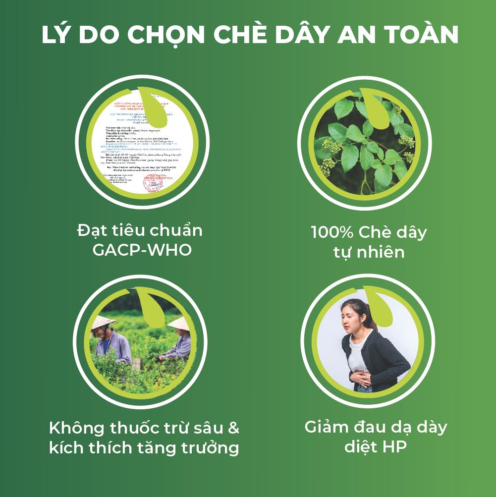 Chè Dây Ủ Men Sấy Khô An Toàn Biormed 100g