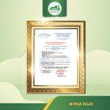 Chè Dây Ủ Men Sấy Khô An Toàn Biormed 100g