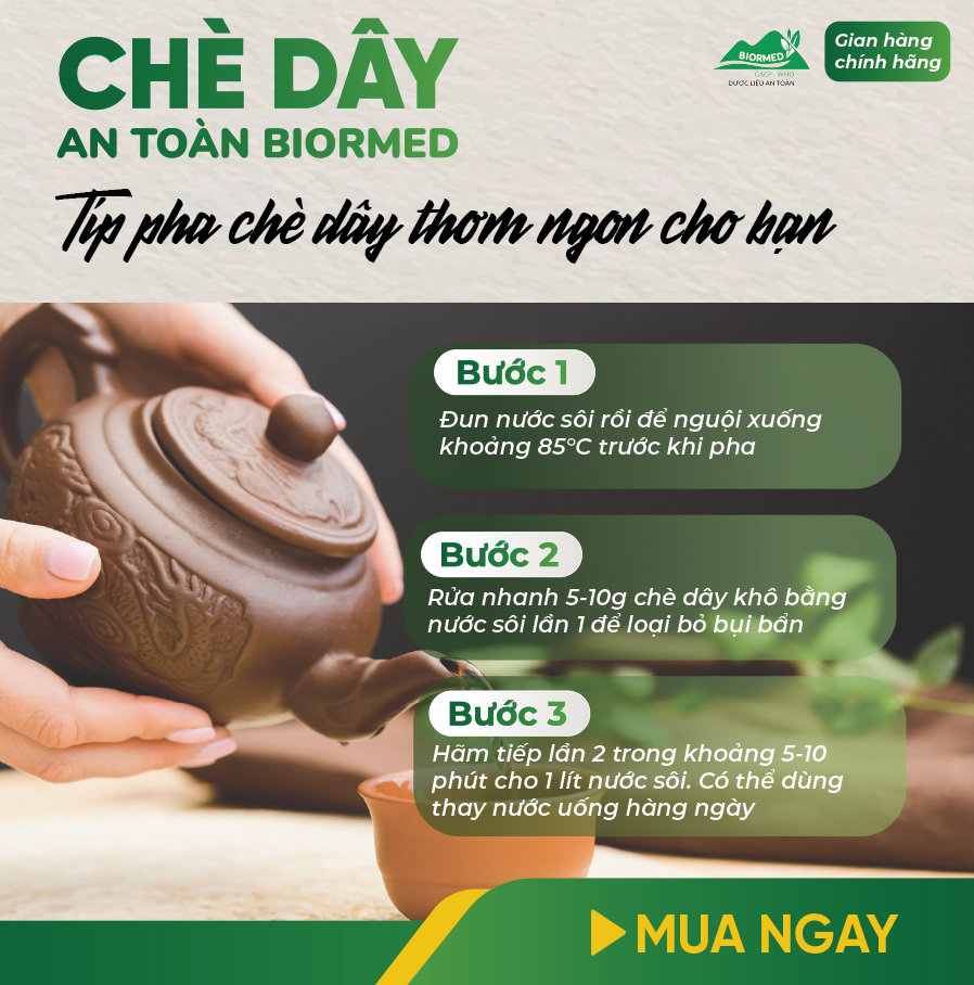 Chè Dây Ủ Men Sấy Khô An Toàn Biormed 100g