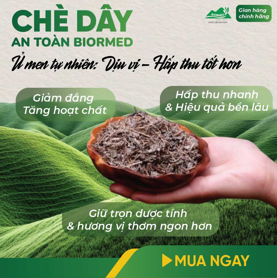 Chè Dây Ủ Men Sấy Khô An Toàn Biormed 100g