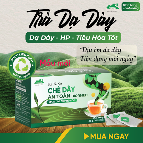 Trà Túi Lọc Chè Dây An Toàn Biormed 20 Gói