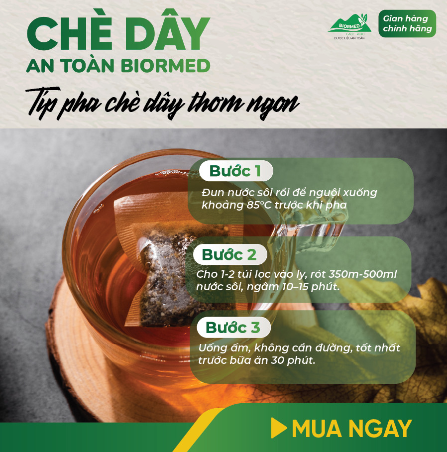 Trà Túi Lọc Chè Dây An Toàn Biormed 20 Gói