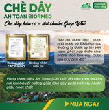 Trà Túi Lọc Chè Dây An Toàn Biormed 20 Gói