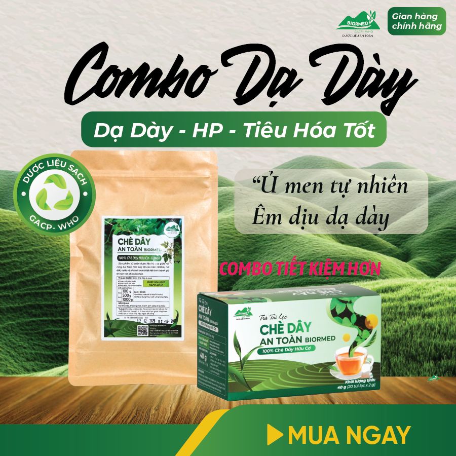 Combo Dạ Dày An Toàn Biormed– Chè Dây 1 Túi Sấy Khô + 1 Hộp Trà Túi Lọc