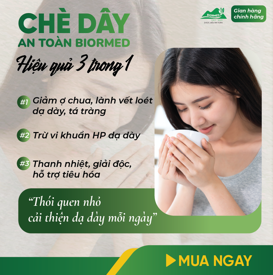 Combo Dạ Dày An Toàn Biormed– Chè Dây 1 Túi Sấy Khô + 1 Hộp Trà Túi Lọc