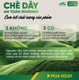 Combo Dạ Dày An Toàn Biormed– Chè Dây 1 Túi Sấy Khô + 1 Hộp Trà Túi Lọc