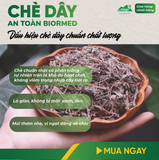 Combo Dạ Dày An Toàn Biormed– Chè Dây 1 Túi Sấy Khô + 1 Hộp Trà Túi Lọc