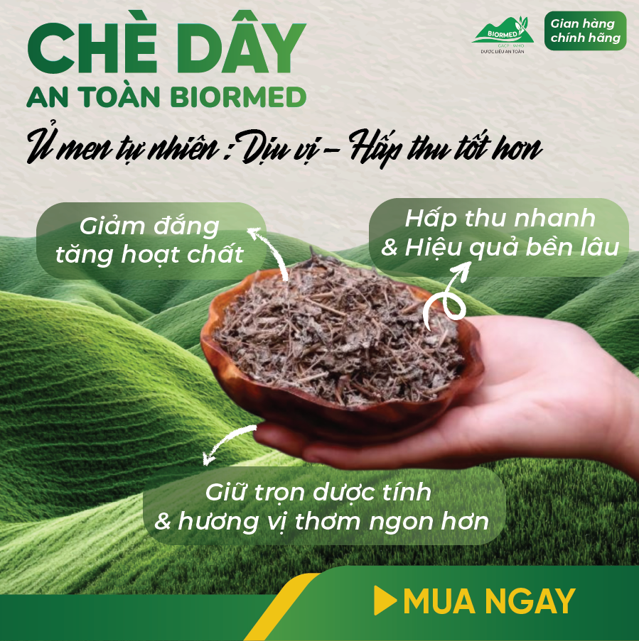 Combo Dạ Dày An Toàn Biormed– Chè Dây 1 Túi Sấy Khô + 1 Hộp Trà Túi Lọc