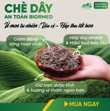 Combo Dạ Dày An Toàn Biormed– Chè Dây 1 Túi Sấy Khô + 1 Hộp Trà Túi Lọc