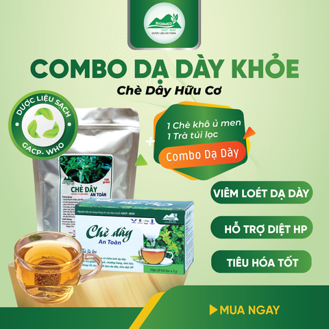 Combo Dạ Dày An Toàn Biormed– Chè Dây 1 Túi Sấy Khô + 1 Hộp Trà Túi Lọc