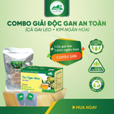 Combo Giải Độc Gan - Cà Gai Leo Sấy Khô & Trà Túi Lọc Kim Ngân Hoa An Toàn Biormed