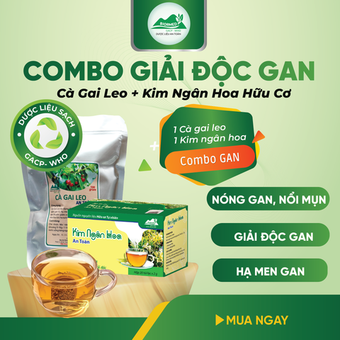 Combo Giải Độc Gan - Cà Gai Leo Sấy Khô & Trà Túi Lọc Kim Ngân Hoa An Toàn Biormed