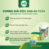 Combo Giải Độc Gan - Cà Gai Leo Sấy Khô & Trà Túi Lọc Kim Ngân Hoa An Toàn Biormed