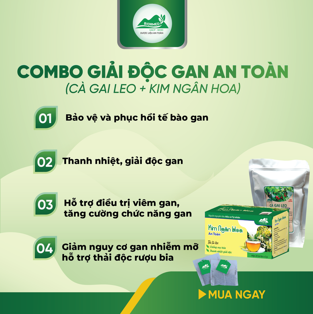 Combo Giải Độc Gan - Cà Gai Leo Sấy Khô & Trà Túi Lọc Kim Ngân Hoa An Toàn Biormed