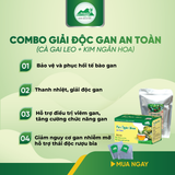 Combo Giải Độc Gan - Cà Gai Leo Sấy Khô & Trà Túi Lọc Kim Ngân Hoa An Toàn Biormed