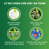 Combo Giải Độc Gan - Cà Gai Leo Sấy Khô & Trà Túi Lọc Kim Ngân Hoa An Toàn Biormed