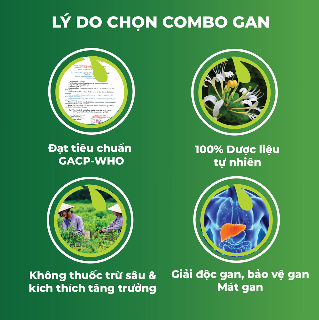 Combo Giải Độc Gan - Cà Gai Leo Sấy Khô & Trà Túi Lọc Kim Ngân Hoa An Toàn Biormed