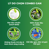 Combo Giải Độc Gan - Cà Gai Leo Sấy Khô & Trà Túi Lọc Kim Ngân Hoa An Toàn Biormed