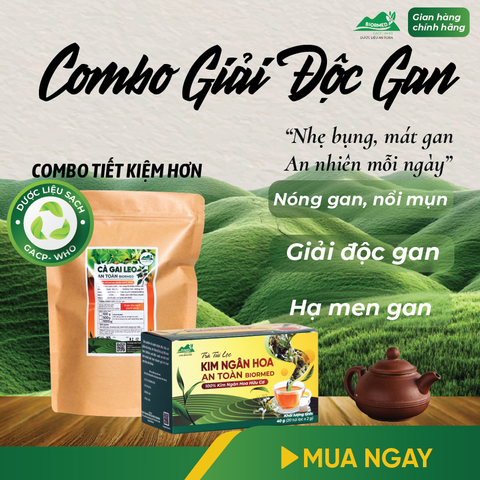 Combo Giải Độc Gan - Cà Gai Leo Sấy Khô & Trà Túi Lọc Kim Ngân Hoa An Toàn Biormed