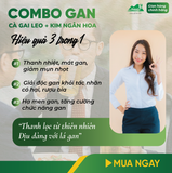 Combo Giải Độc Gan - Cà Gai Leo Sấy Khô & Trà Túi Lọc Kim Ngân Hoa An Toàn Biormed