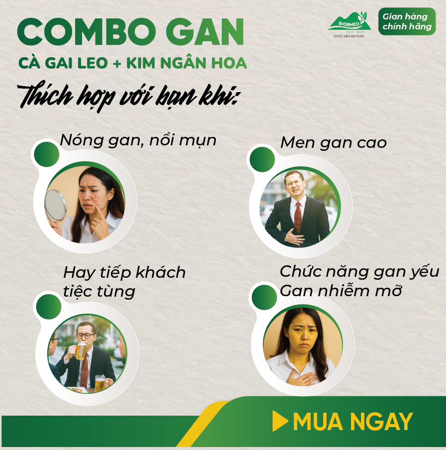 Combo Giải Độc Gan - Cà Gai Leo Sấy Khô & Trà Túi Lọc Kim Ngân Hoa An Toàn Biormed