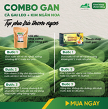 Combo Giải Độc Gan - Cà Gai Leo Sấy Khô & Trà Túi Lọc Kim Ngân Hoa An Toàn Biormed