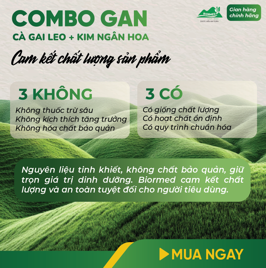 Combo Giải Độc Gan - Cà Gai Leo Sấy Khô & Trà Túi Lọc Kim Ngân Hoa An Toàn Biormed