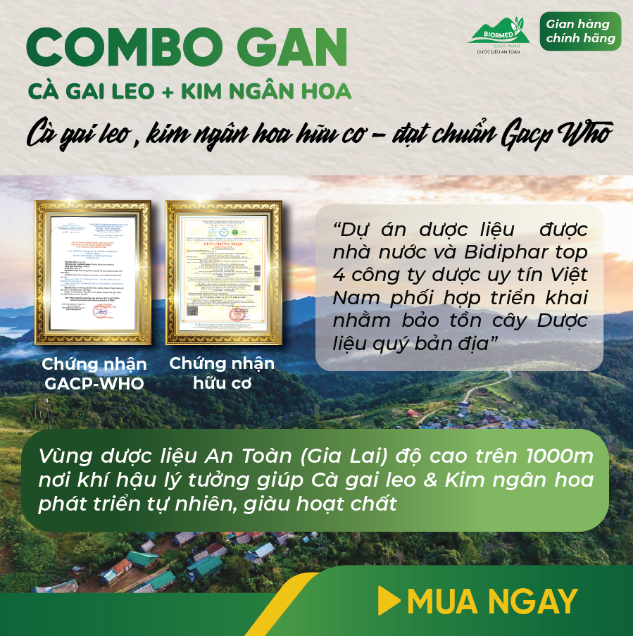 Combo Giải Độc Gan - Cà Gai Leo Sấy Khô & Trà Túi Lọc Kim Ngân Hoa An Toàn Biormed