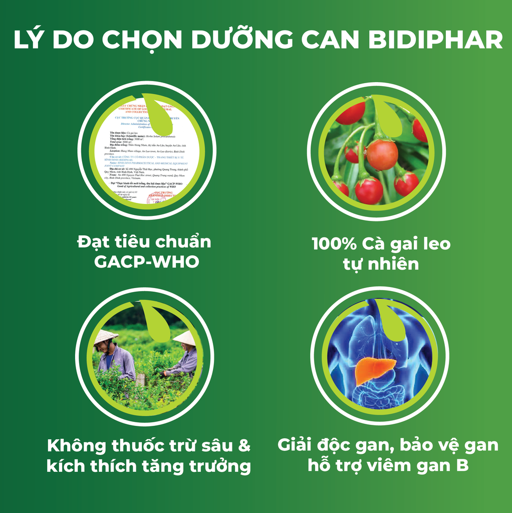 DƯỠNG CAN BIDIPHAR - Giải Độc, Tăng Chức Năng Gan - Lọ 60 viên