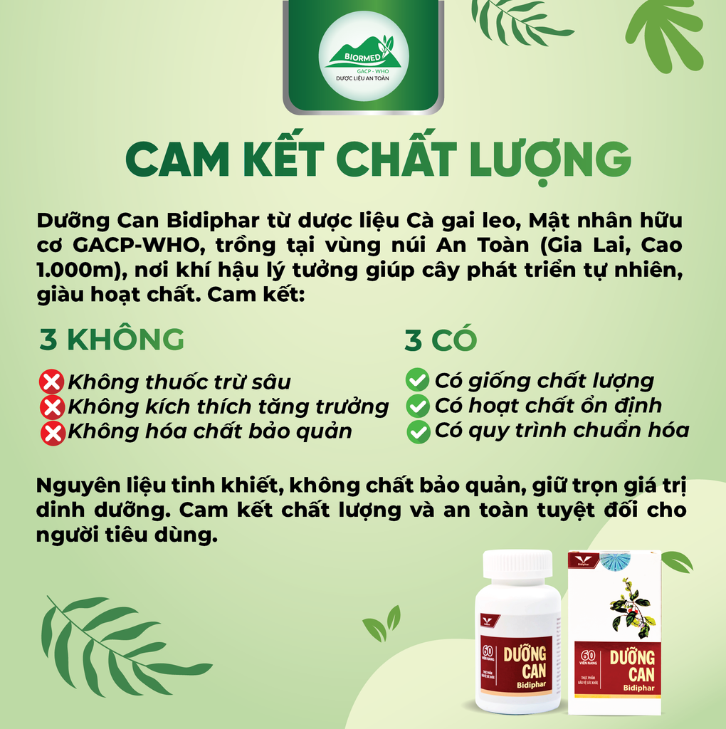 DƯỠNG CAN BIDIPHAR - Giải Độc, Tăng Chức Năng Gan - Lọ 60 viên