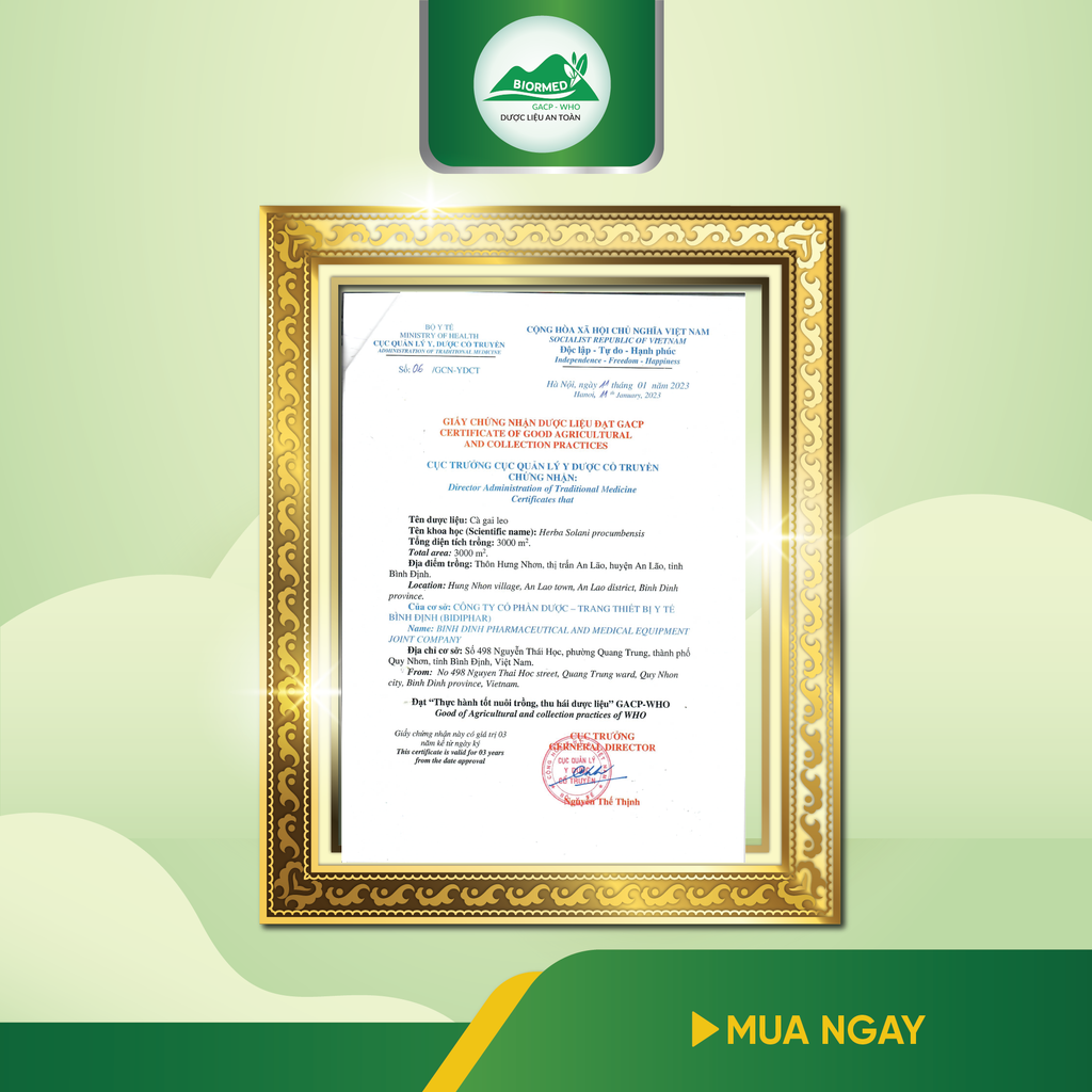 DƯỠNG CAN BIDIPHAR - Giải Độc, Tăng Chức Năng Gan - Lọ 60 viên