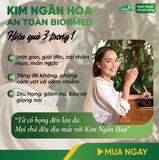 Trà Túi Lọc Kim Ngân Hoa An Toàn H/20 Gói
