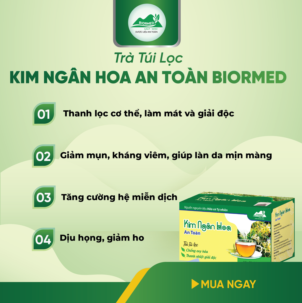 Trà Túi Lọc Kim Ngân Hoa An Toàn H/20 Gói