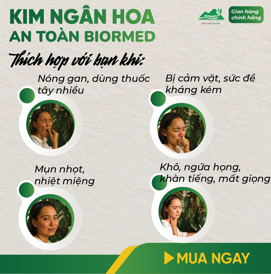Trà Túi Lọc Kim Ngân Hoa An Toàn H/20 Gói
