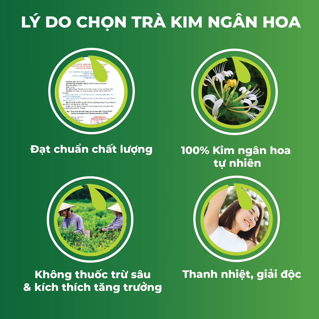 Trà Túi Lọc Kim Ngân Hoa An Toàn H/20 Gói
