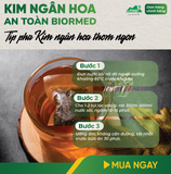 Trà Túi Lọc Kim Ngân Hoa An Toàn H/20 Gói