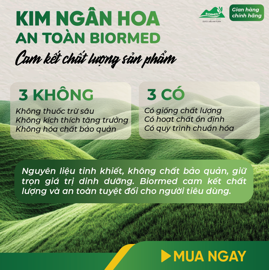 Trà Túi Lọc Kim Ngân Hoa An Toàn H/20 Gói