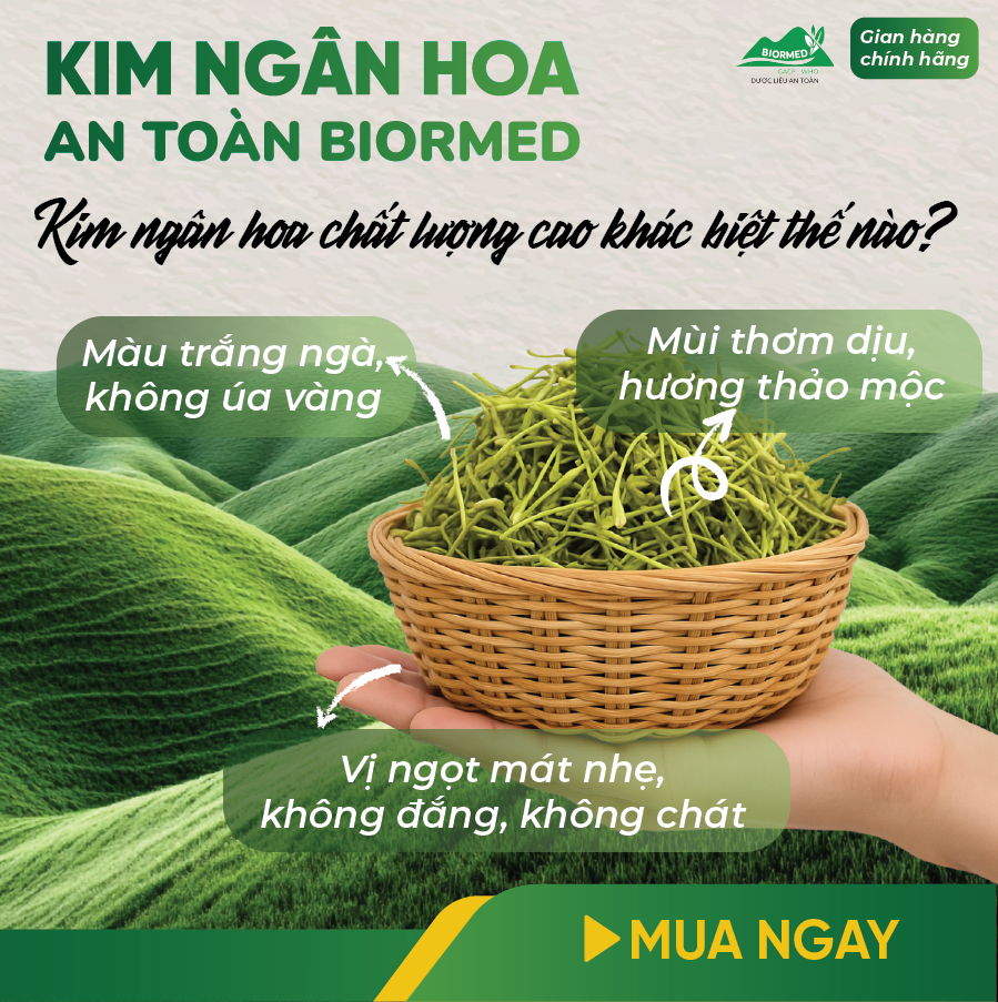 Trà Túi Lọc Kim Ngân Hoa An Toàn H/20 Gói